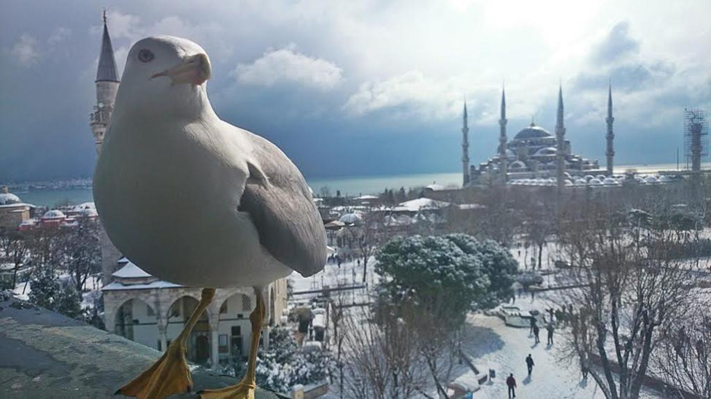 Esra Sultan Petrol Hotel Istanbul Zimmer foto